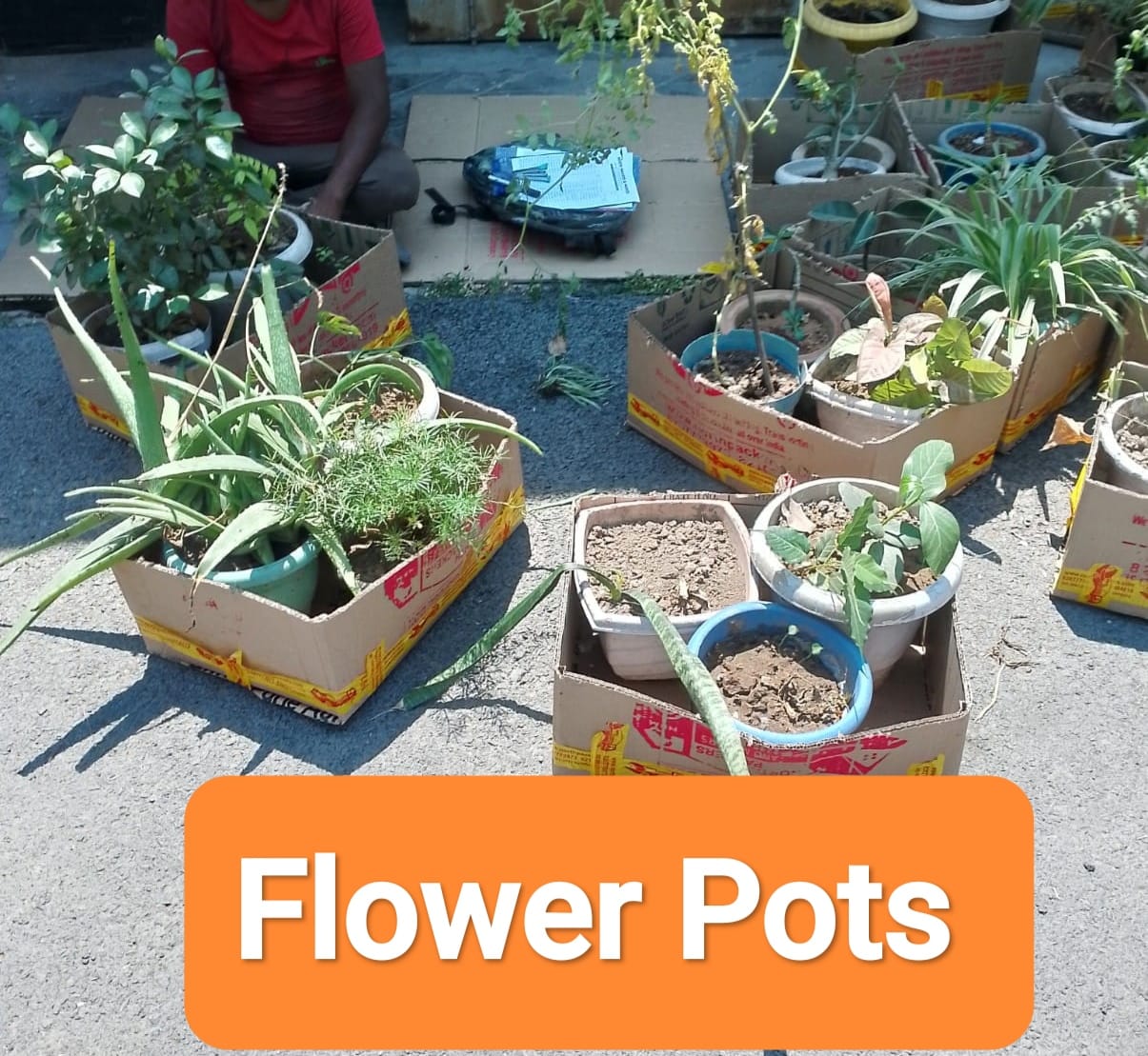 North Packers and Movers Images 6